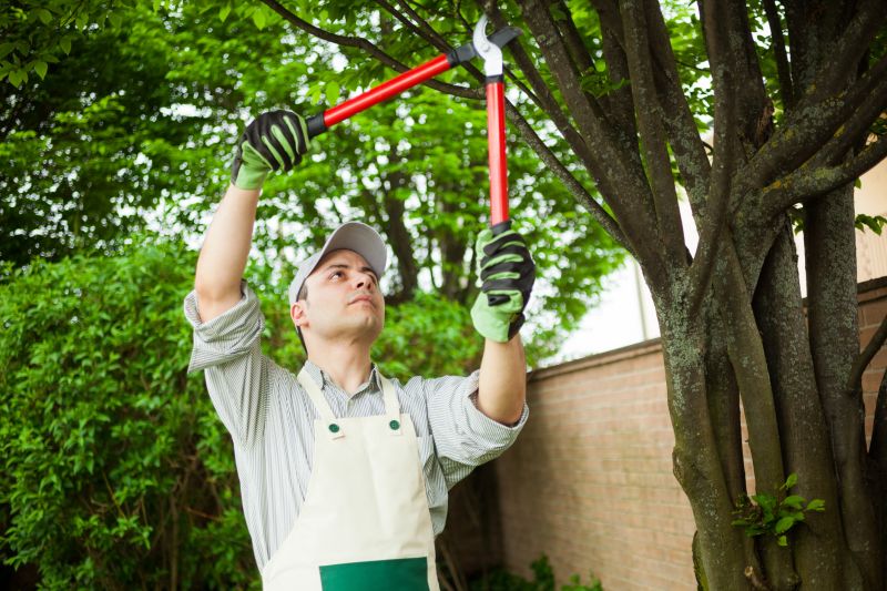 Local Poison Oak Removal pros at work