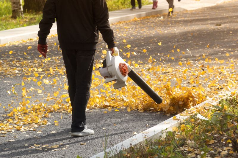 Professional Equipment for Leaf Removal