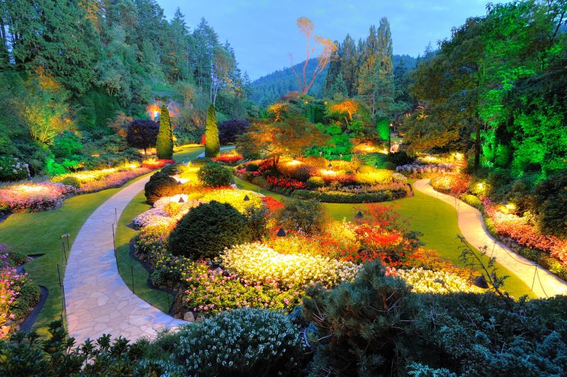 Landscape Electrical Service in Littleton, CO