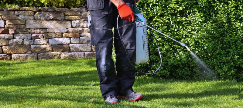 Lawn Weed Spraying in Ventura County, CA