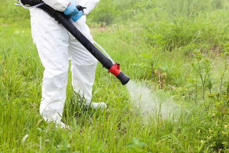 Lawn Weed Treatment Service