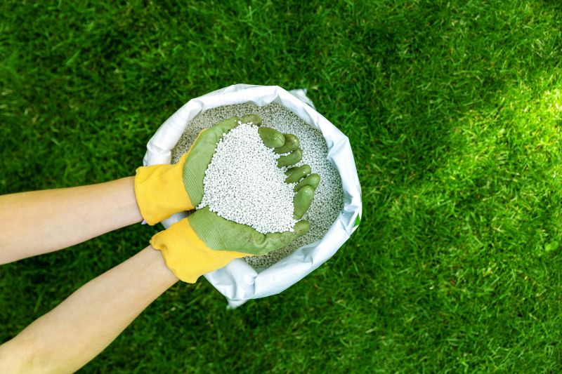 Residential Lawn Fertilizing in Honolulu, HI
