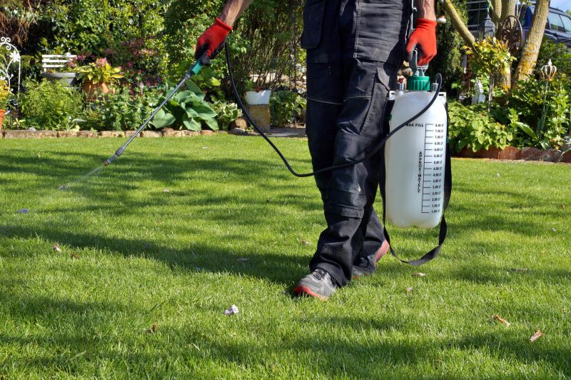 Spring Lawn Treatment in Honolulu, HI